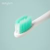 Sonic Electric Toothbrush